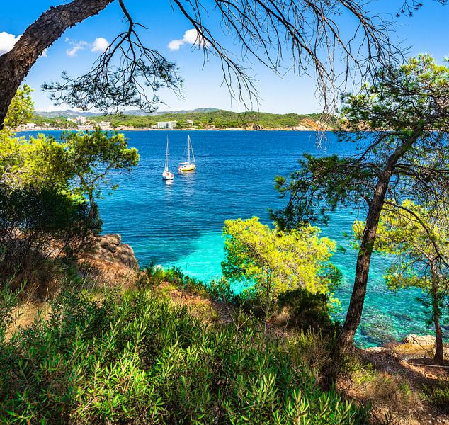 Cala Fornells, Mallorca, Balearen, Spanje van Alex Winter