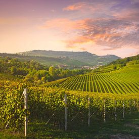 Langhe wijngaarden en een landelijke weg. Barolo, Italië van Stefano Orazzini