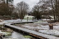 Scenic view over a wooden path through the Brussels wetlands, co van Werner Lerooy thumbnail