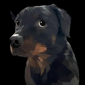 regard du chien noir