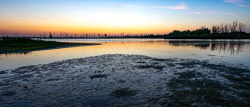 Zonsopkomst op Nationaal Park de Biesbosch