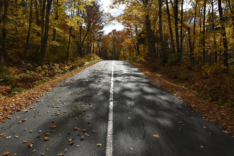 A country road in autumn by Claude Laprise