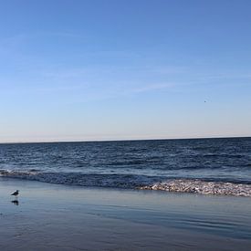 Vögel der Liebe von Krystel El Koussa