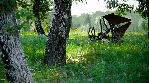 IJzeren ploeg in tuin