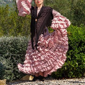 Flamenco in den Bergen 7 von Peter Laarakker