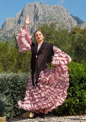 Flamenco in the mountains 7 by Peter Laarakker