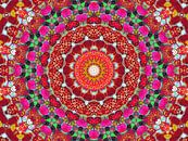 Lakritz-Mandala in Rot von Caroline Lichthart Miniaturansicht