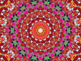 Lakritz-Mandala in Rot von Caroline Lichthart