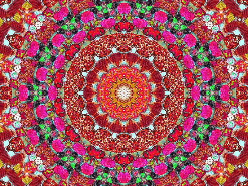 Lakritz-Mandala in Rot von Caroline Lichthart