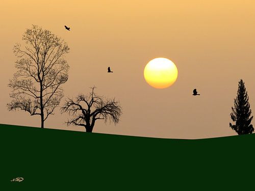 Avondlijke sfeer in het stof van de Sahara