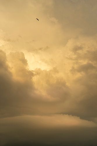 Stormy weather on the way.