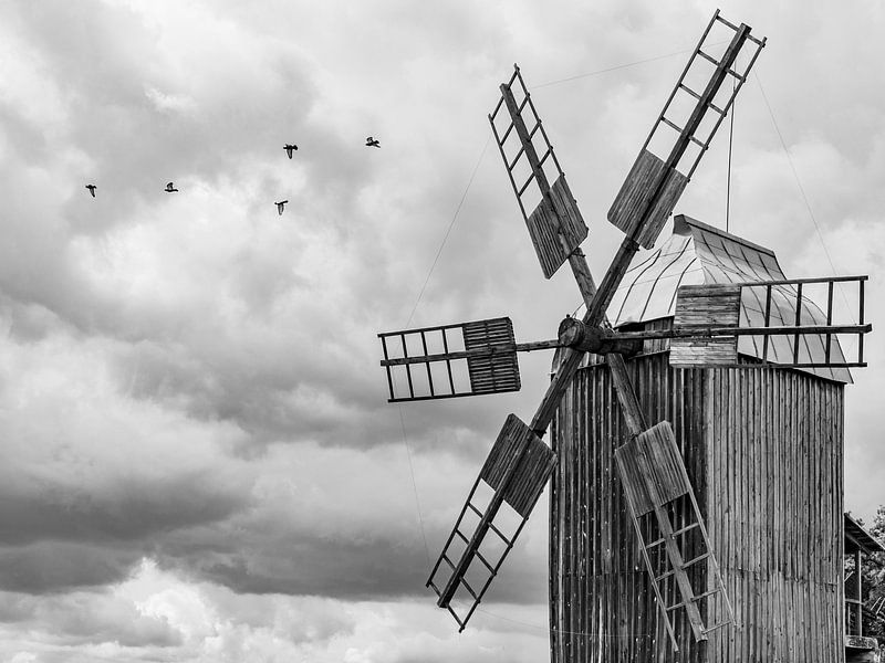 Windmill by Vladyslav Durniev