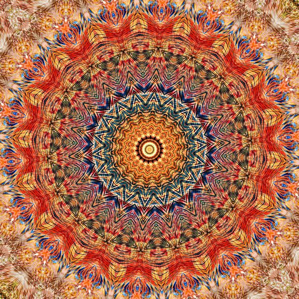 Mandala - Indian Summer by Western Exposure