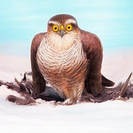 Bises sur Silvio Schoisswohl