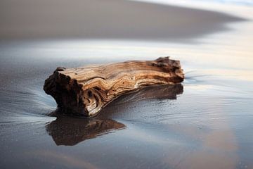 Minimalistische strandfotografie - rust aan zee met drijfhout van Poster Art Shop