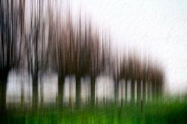 Hout in rij van ZEVNOV .