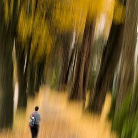 Fall in walk way , VANCOUVER Canada van Mohiuddin Ahmed