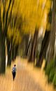 Fall in walk way , VANCOUVER Canada van Mohiuddin Ahmed thumbnail