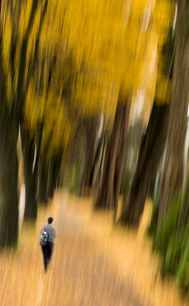 Fall in walk way , VANCOUVER Canada van Mohiuddin Ahmed