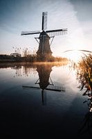 Matinée de printemps aux Pays-Bas