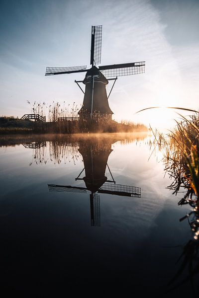Matinée de printemps aux Pays-Bas par Alfons Taekema