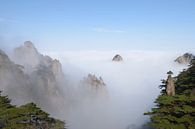 Gelber Berg - Huang Shan, China von Peter Apers Miniaturansicht