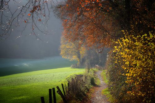 Walking Down in Colors