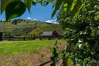 Old stable in Canadian village