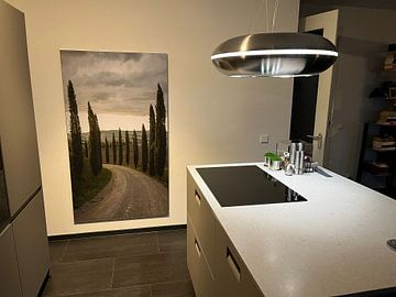 Kundenfoto: Allee mit Zypressen in der Toskana, Italien von Discover Dutch Nature