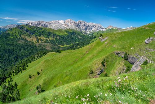 The Dolomites