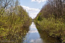 Graben im Wald von Heleen de Silva