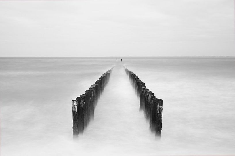 Posts in the &quot;fog&quot; by Leo van Valkenburg