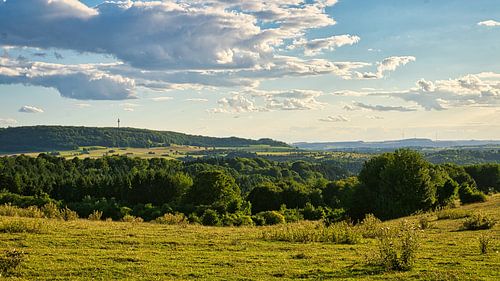 Een zonnige dag in Saarland met uitzicht over weilanden in het dal. Koe in de wei.