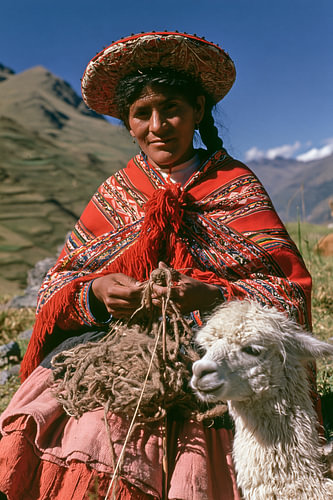 Kodachrome style: Quechua woman with a white alpaca in the Andes