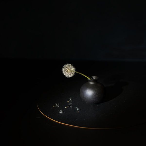 Minimalistisch  Zen stilleven  met uitgebloeide  paardebloem . van Saskia Dingemans Awarded Photographer
