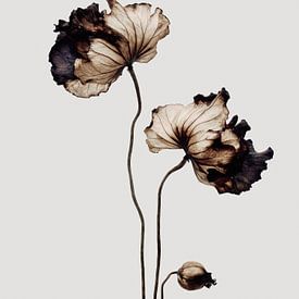 Elegance in Decay by Cats & Dotz