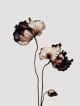 L'élégance dans la décadence