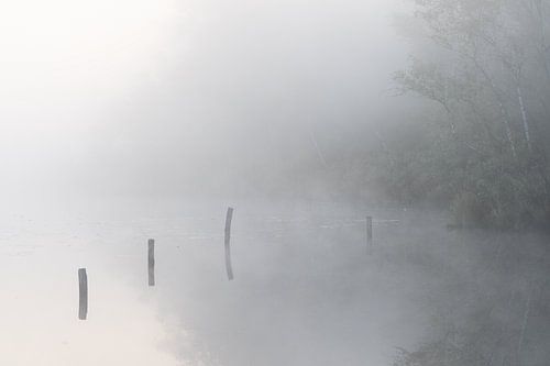 Misty morning op de Teut 2