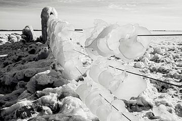 glace gelée sur une clôture au bord de l'ijssel sur Karen Velleman