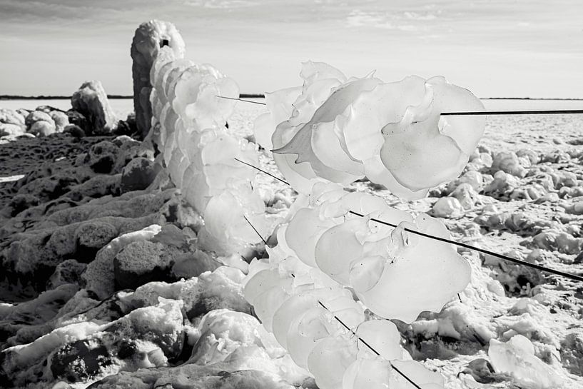 gefrorenes Eis auf dem Zaun an der Ijssel von Karen Velleman