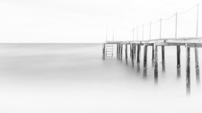 Steiger - Heavenly Mist by Tony Buijse
