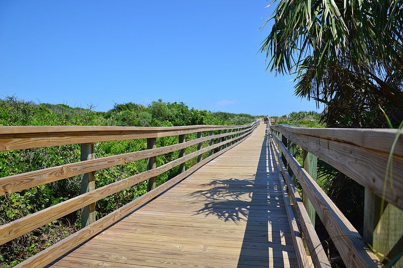 Long way to the beach by Frank's Awesome Travels