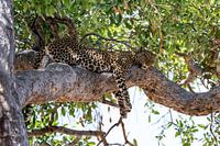 Just hang out