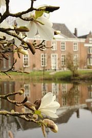 Reflexion von Christel Smits