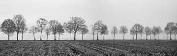 bomenrij in vlak landschap van Jan Fritz