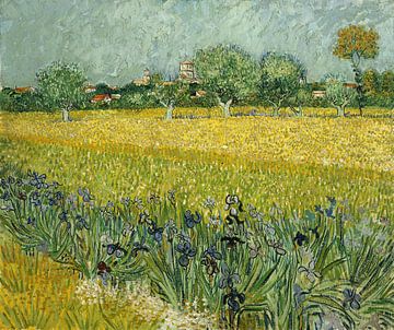 Veld met irissen nabij Arles, Vincent van Gogh - 1888