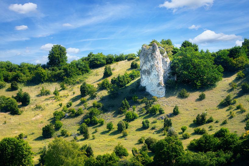 Das Naturschutzgebiet Trockenhänge bei Dollnstein von ManfredFotos