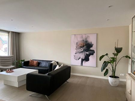 Außergewöhnliche "Explosion" einer Blume