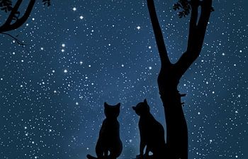Cats together on a branch at night looking at stars