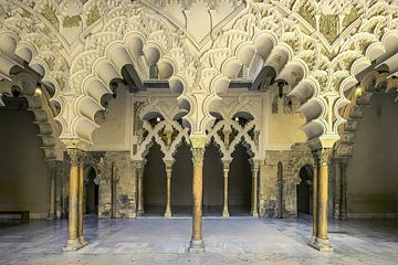 Palacio de la Aljafería van Frans Nijland